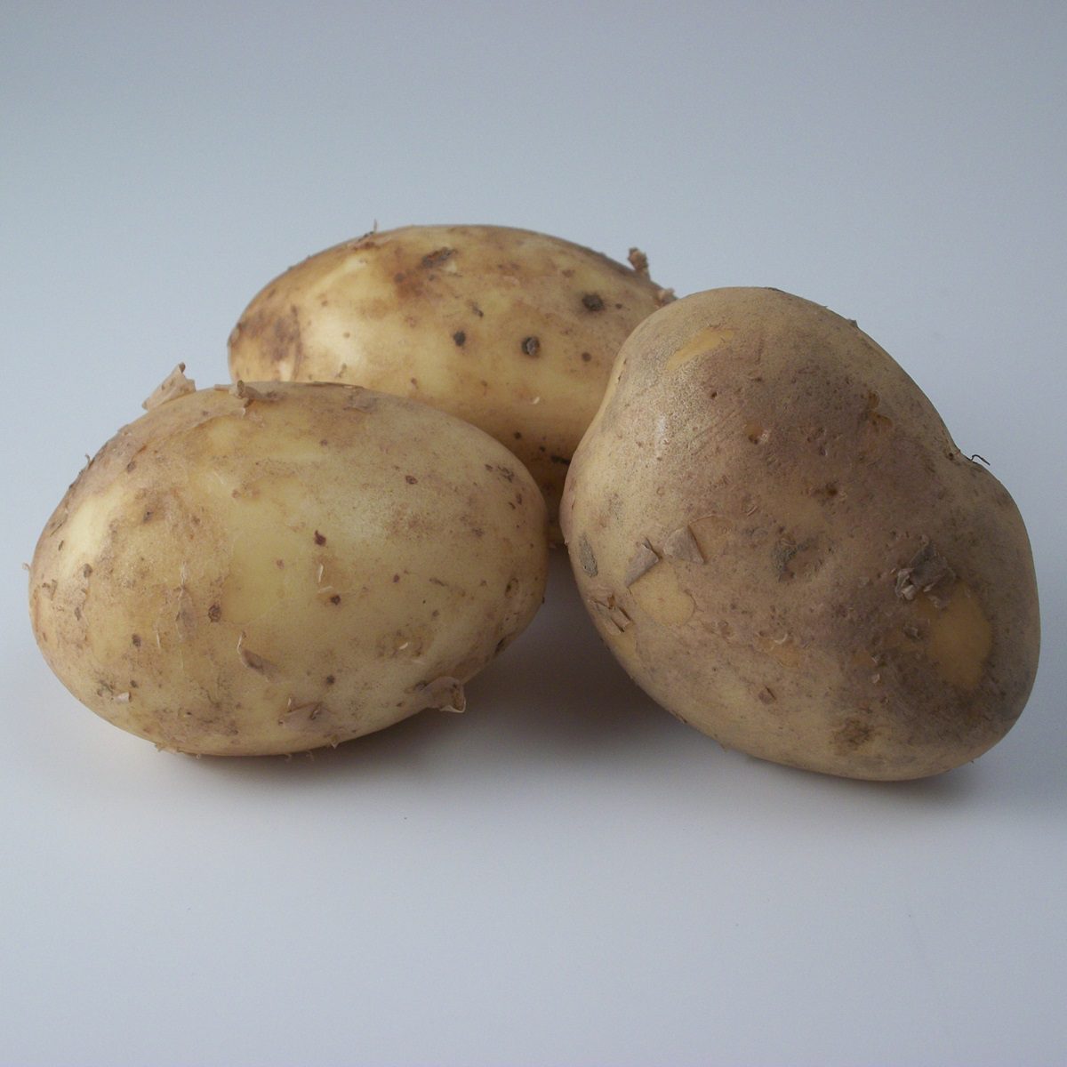 Maris Piper Main Crop Seed Potatoes 2kg 5015882224180